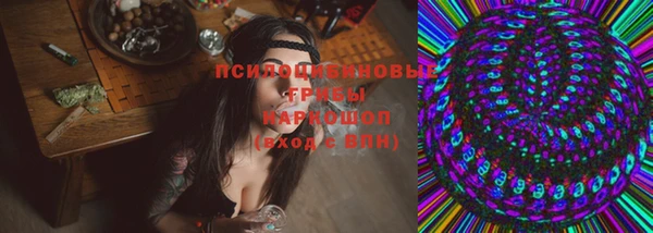 мет Надым