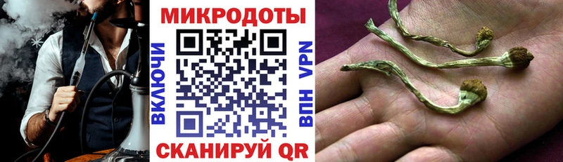 Галлюциногенные грибы Cubensis  Красноуфимск 