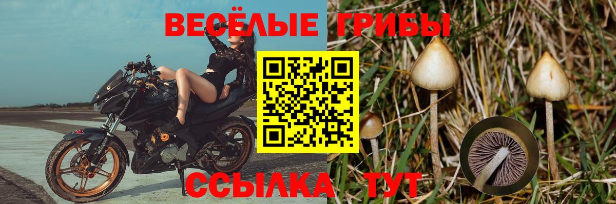 Красноуфимск  Псилоцибиновые грибы мухоморы  где найти   Вход с VPN 